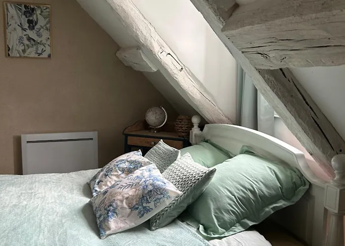 Duplex A Colombages En Bord De Loire A 2 Pas Du Chateau De Blois